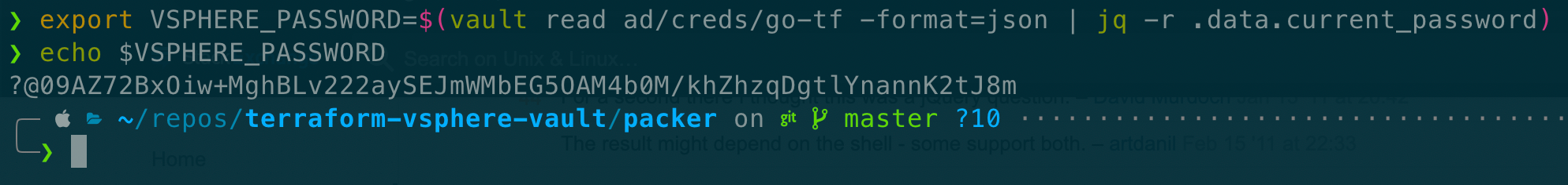 Setting vSphere password for Terraform